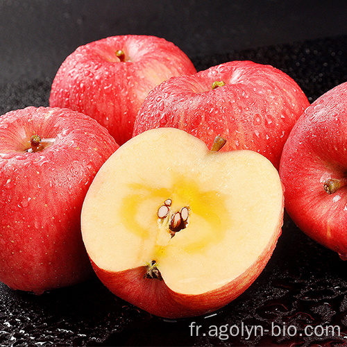 Fruits de pommes rouges chinois à vendre